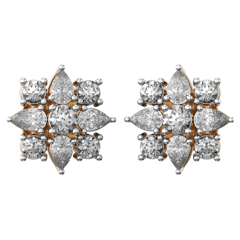 fabulous-fiorella-earrings-er0237a-view-01